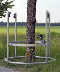 Baumscanner